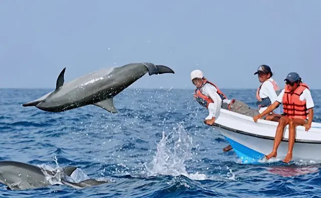 Tourists enjoying a dolphin watching trip with Goa Tourist Taxi – Short activities